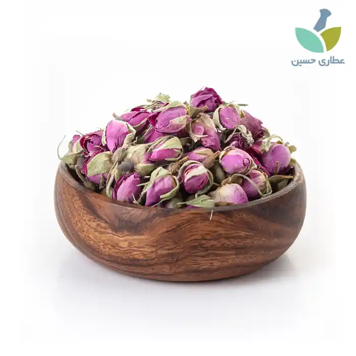 غنچه گل محمدی