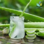 ژل آلوئه ورا